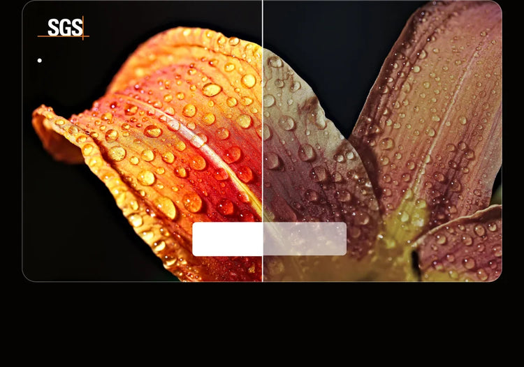 m06-flower-mobile-1779963157751.webp
