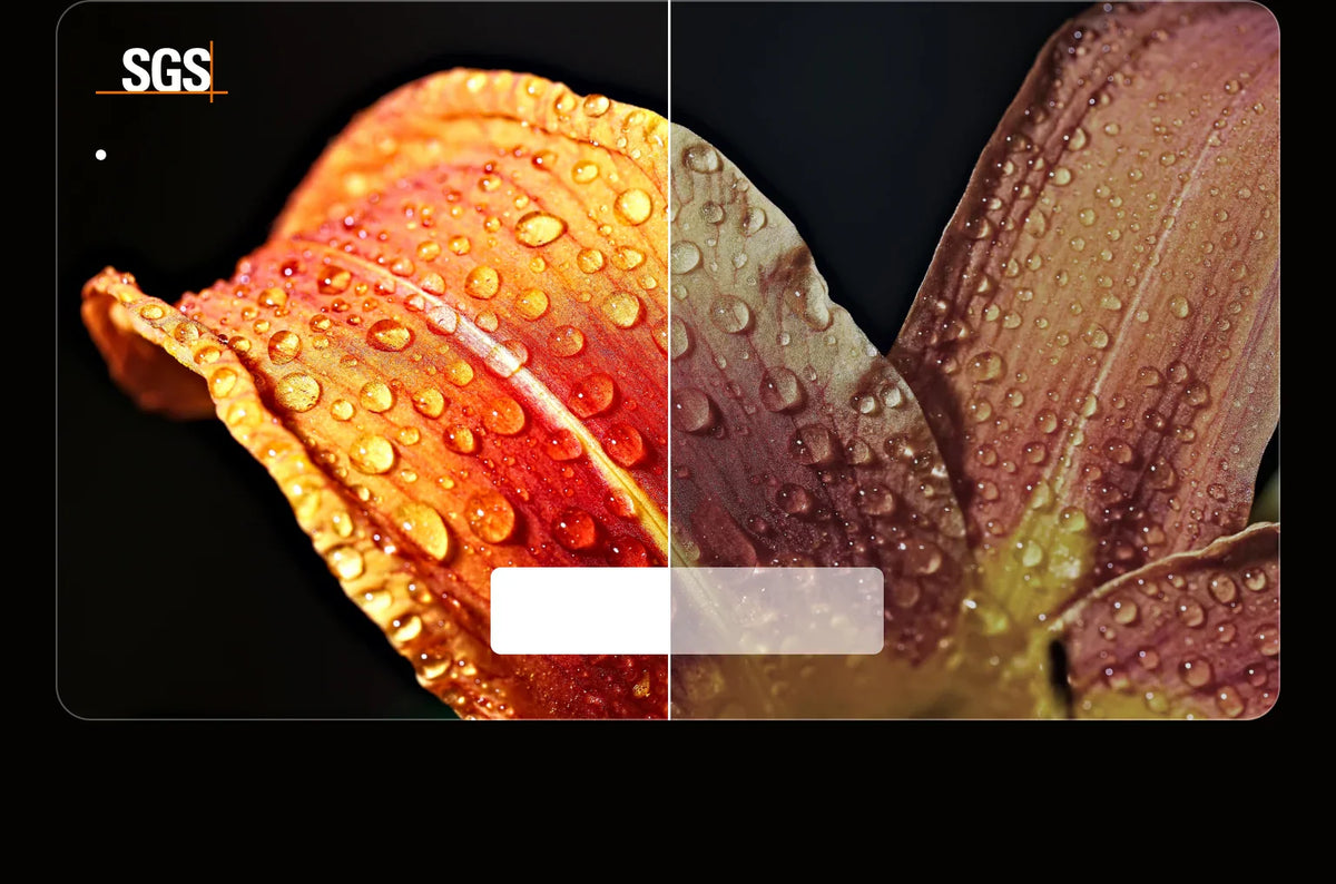 m06-flower-tablet-1779963157751.webp