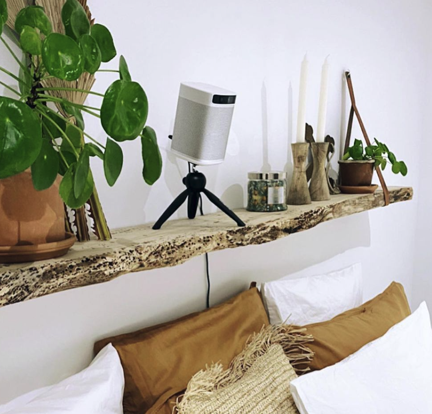 Side By Side— XGIMI Halo vs. XGIMI MoGo Pro