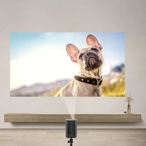 Projector Pets Enjoy the Entertainment with Portable Smart Mini Projector